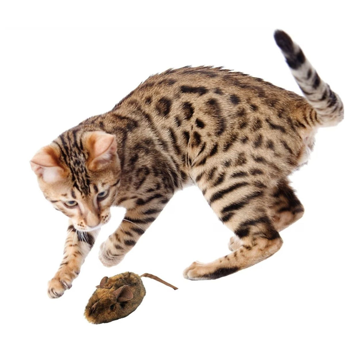 Interactive Mouse Hunter cat toy with electronic sound and catnip, designed for indoor cats to promote play and exercise.