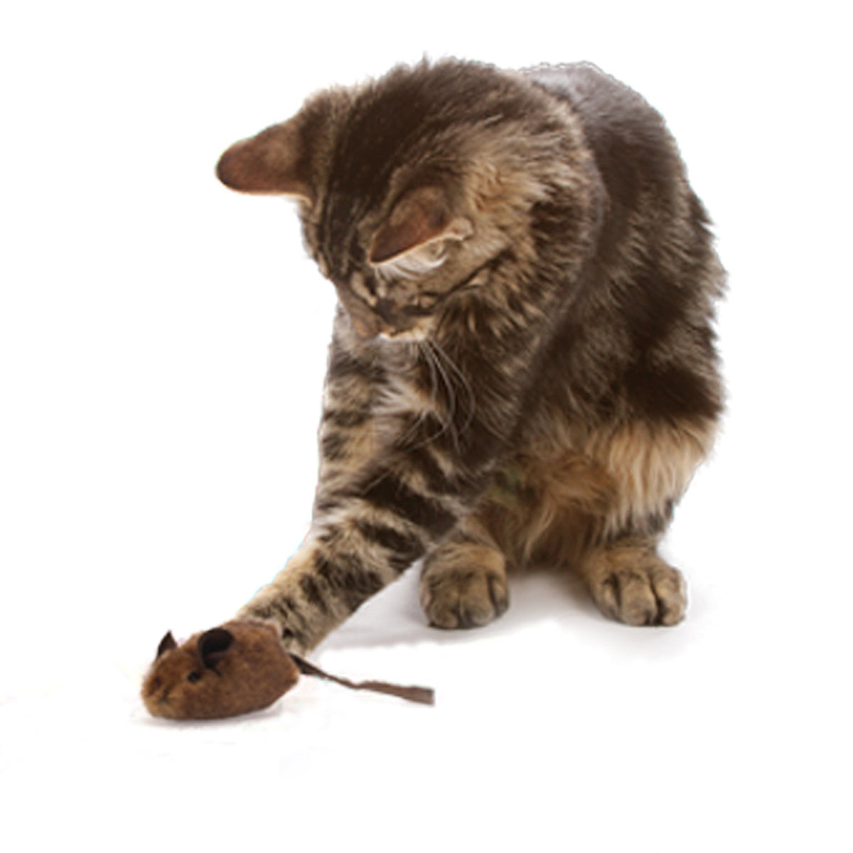 Interactive Mouse Hunter cat toy with electronic sounds and catnip, designed for indoor cats to promote play and exercise.