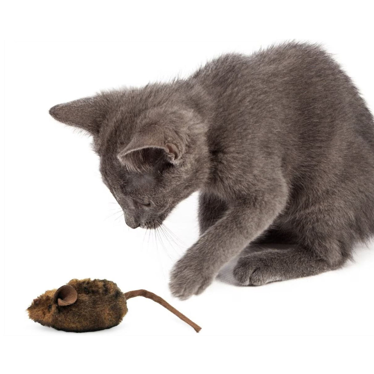 Interactive Mouse Hunter cat toy with electronic sound and catnip, designed for indoor cats to promote play and stimulation.