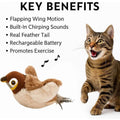 Flying Bird Cat Toy by Everything Baby, rechargeable flapping sparrow with chirping sounds and touch activation for indoor cats.