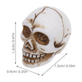 Mini resin skull head figurine for Halloween, decorative desktop art piece from Everything Baby, suitable for home decor or play.