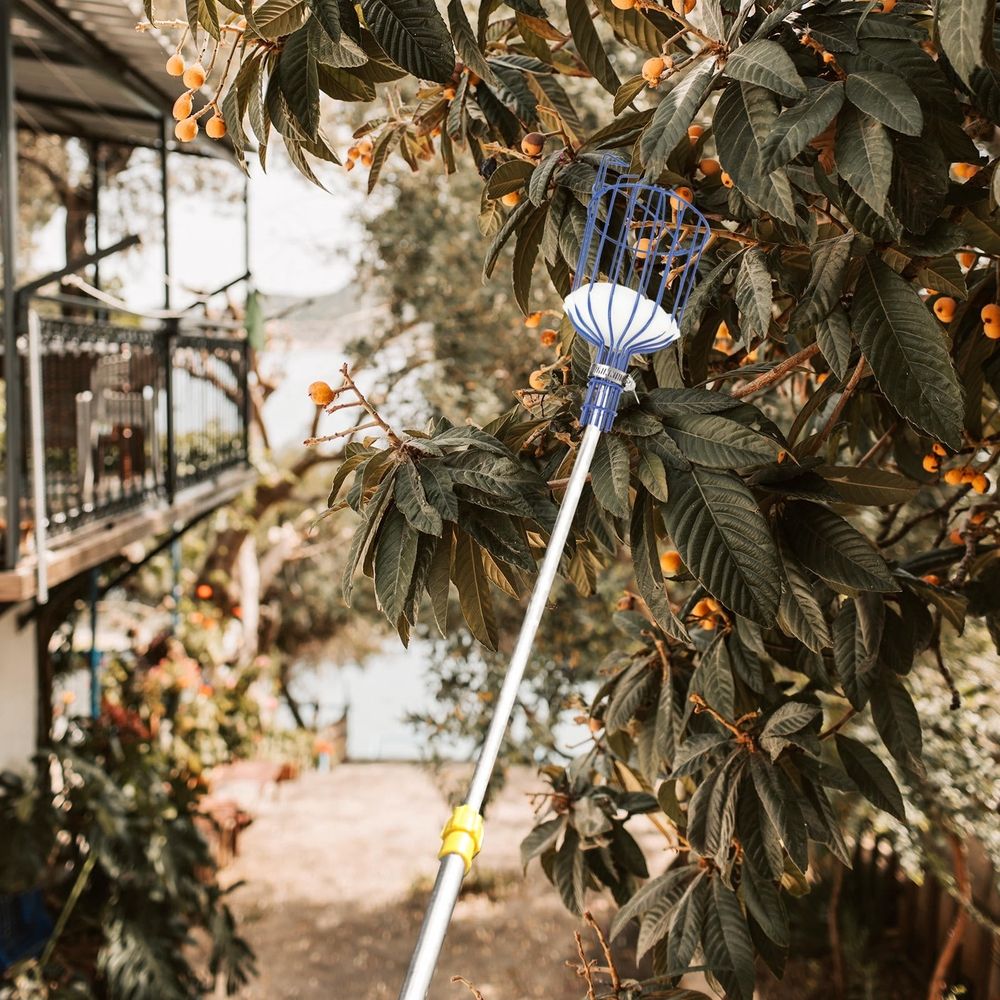 Blue fruit harvester tool by Everything Baby, lightweight outdoor gardening equipment for picking peaches and other fruits.