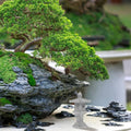 Grey Stone Pavilion Statue with realistic craftsmanship, suitable for garden or entryway decor, by Everything Baby.