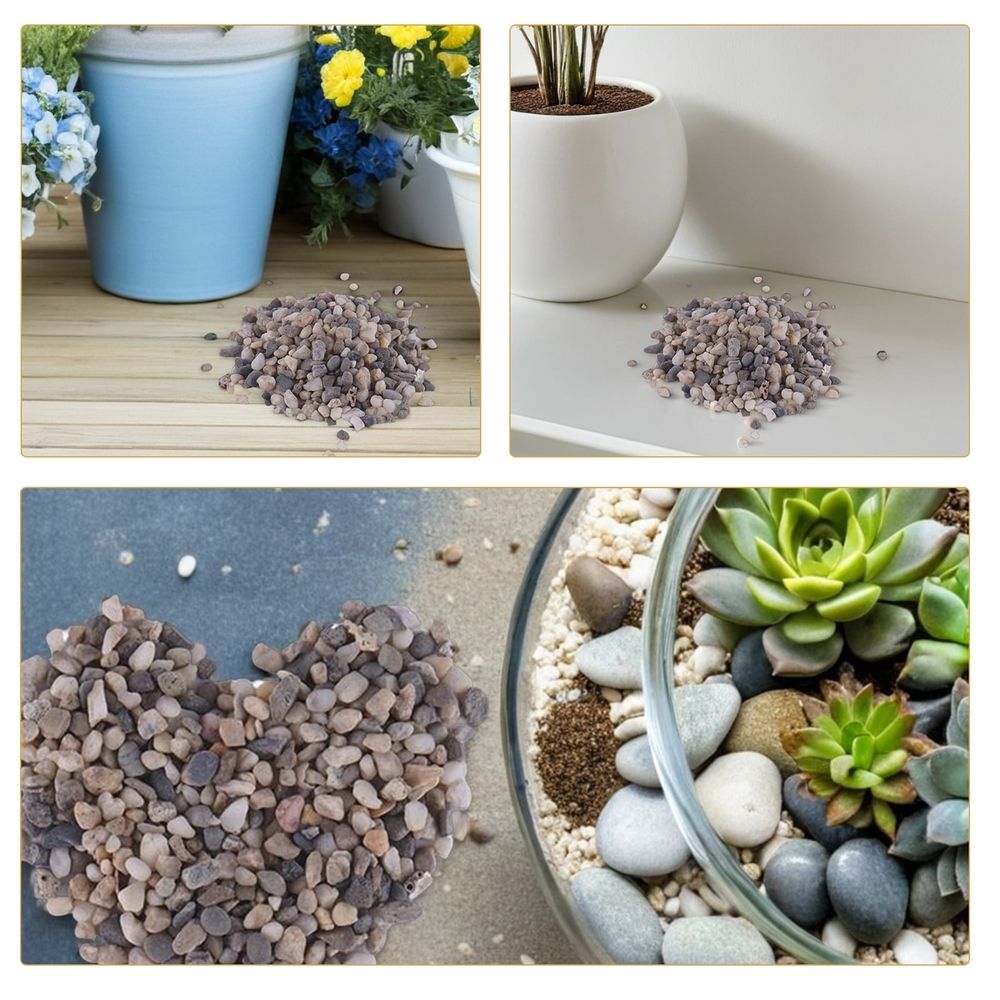 Assorted natural sand stone pebbles for fish aquariums and terrarium decoration, featuring various shapes and sizes.