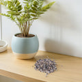 Assorted natural sand stone pebbles for fish aquariums and Microscape decoration, displayed in a clear container.