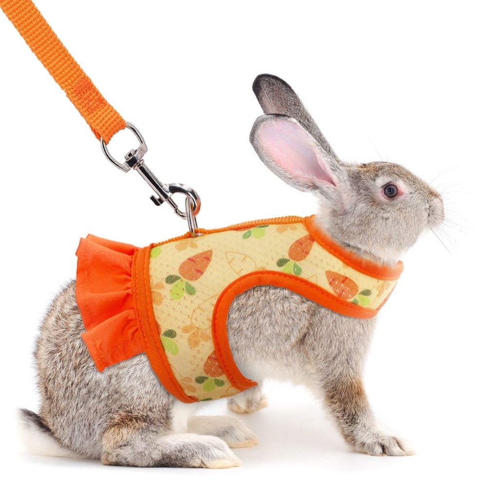 Baby rabbit harness and leash with cute carrot pattern, mesh breathable vest for outdoor walks and training for small animals.