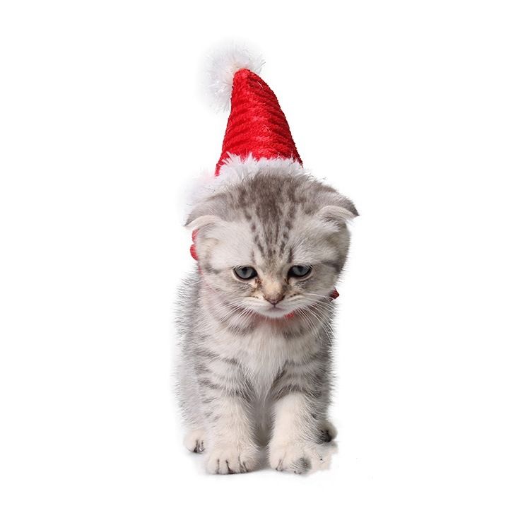 Mini Santa hat for small pets like hamsters, guinea pigs, rabbits, and puppies, featuring a cute red and white plush design.