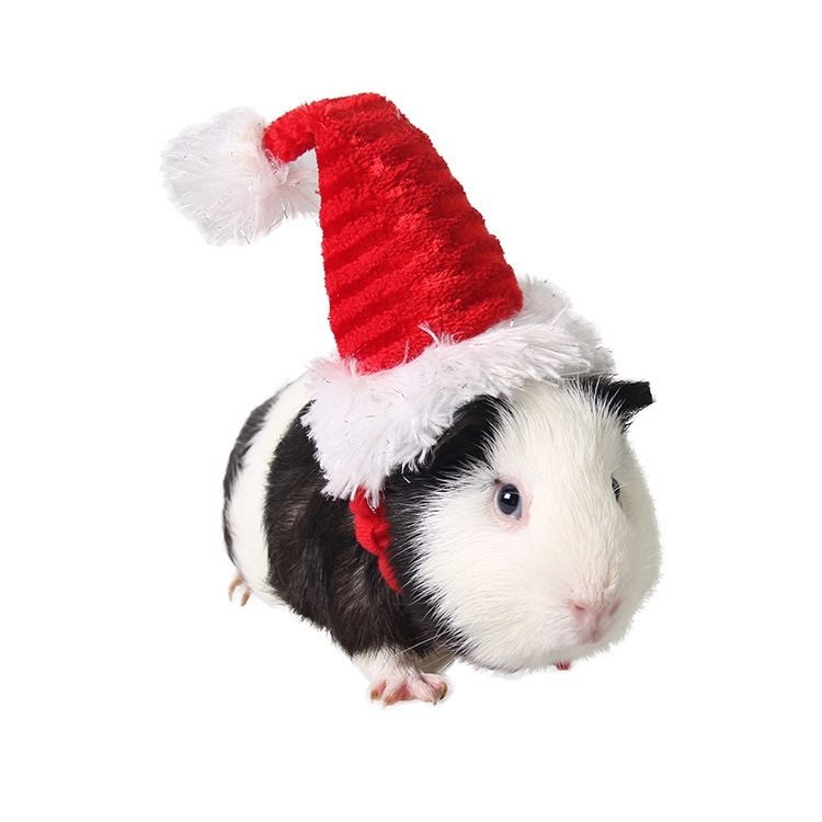Mini Santa hat for small pets like hamsters, guinea pigs, and rabbits, designed by Everything Baby, perfect for adorable pet costumes.