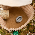 Wooden hamster climbing ladder and suspension bridge for small animals like guinea pigs, rats, hedgehogs, and sugar gliders.