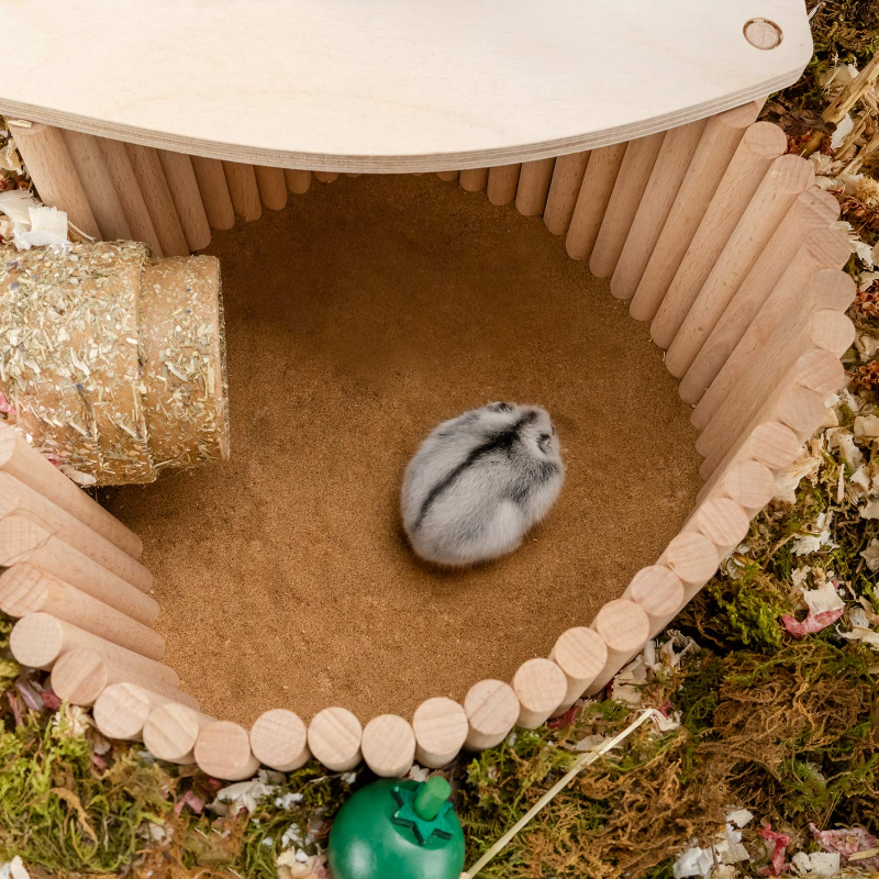 Wooden hamster climbing ladder and suspension bridge for small animals like guinea pigs, rats, hedgehogs, and sugar gliders.