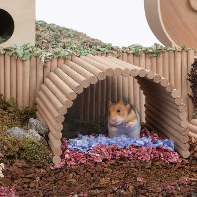 Wooden hamster climbing ladder and suspension bridge for small pets like guinea pigs, rats, hedgehogs, and sugar gliders.
