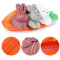 Three plush Easter bunnies in a carrot-shaped pouch, soft stuffed animals perfect for kids and baby play.