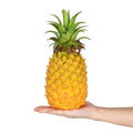 Realistic artificial pineapple toy by Everything Baby, perfect for pretend play and home decor, suitable for kids’ imaginative activities.