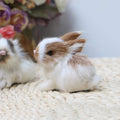 Set of four realistic plush bunny toys by Everything Baby, perfect for pretend play and Easter gift for kids.