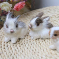 Set of 4 plush bunny toys by Everything Baby, realistic and cute Easter bunny figurines for kids' pretend play and birthday gifts.