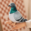 Cute plush pigeon toy by Everything Baby, ideal for pretend play, home decor, and photography props in baby and kids' toys.