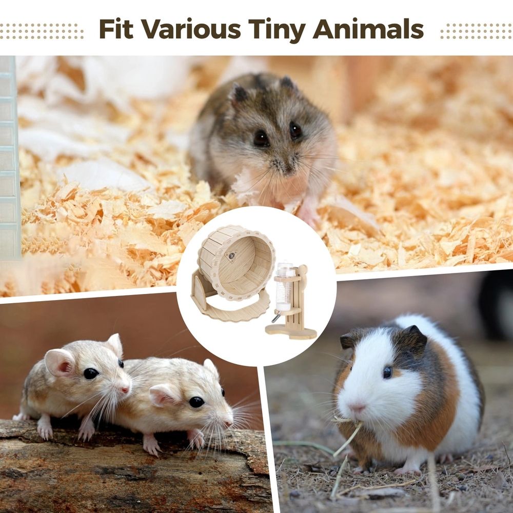 2PCS hamster wheel set with silent running wheel and adjustable water dispenser stand for hamsters, hedgehogs, and guinea pigs.