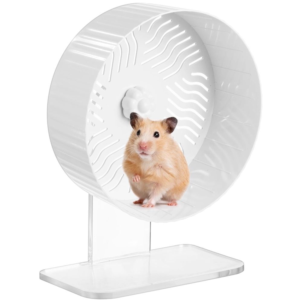 Silent hamster exercise wheel with acrylic stand, space-saving design, ideal for hamsters, guinea pigs, and gerbils in a natural setting.