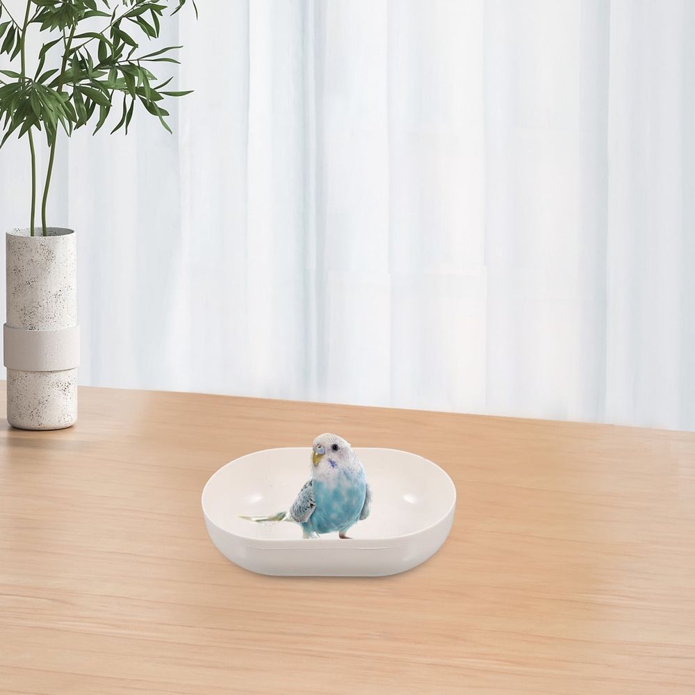 Two replacement birdbath bowls for small garden birds, made by Everything Baby, suitable for outdoor bird play and garden décor.