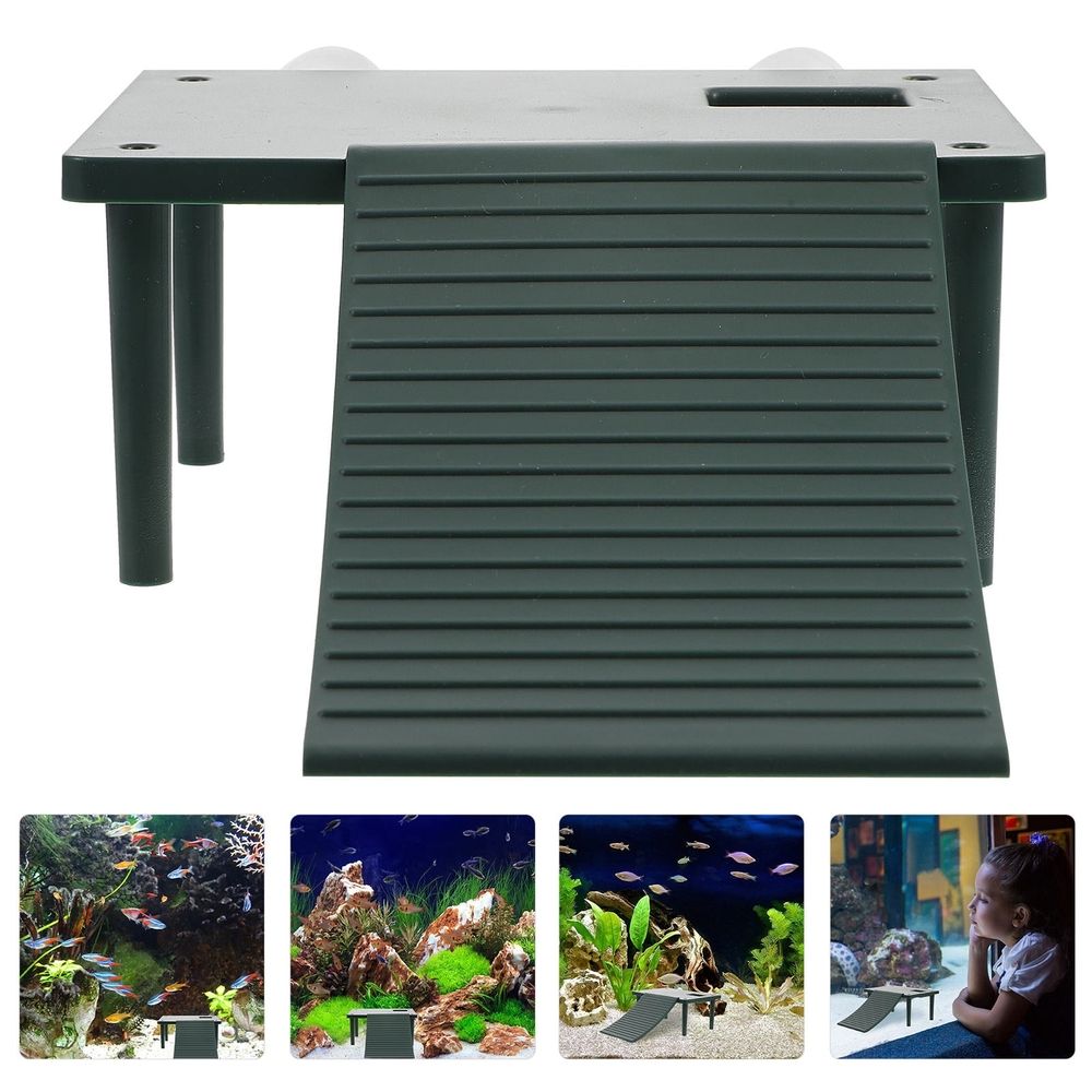 Green plastic turtle basking table enrichment toy for turtles, designed for outdoor play and enrichment.