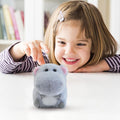 Soft plush koala doll by Everything Baby, perfect as a kids' stuffed animal and bedroom or sofa decor.