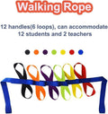 Baby and kids walking rope with rings and handles for preschool line up, safety stroller leash straps for toddlers and children.