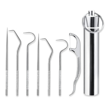 Metal Toothpicks for Teeth Set (7Pcs ), Portable Reusable Stainless Steel Toothpicks Pocket Set with Holder Dispenser, Fruit Picks
