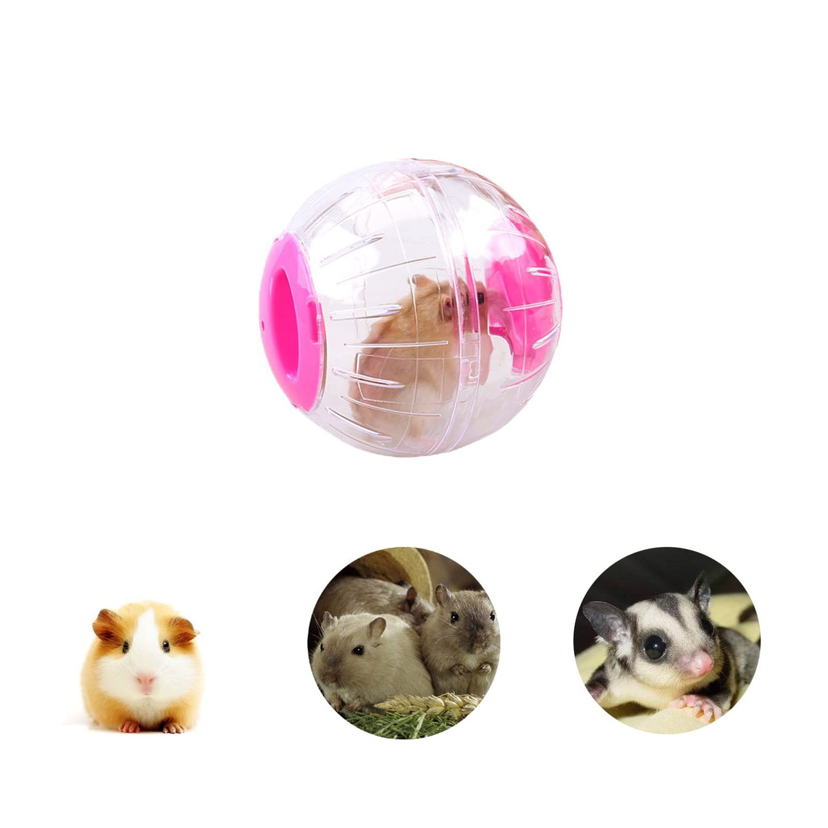 Plastic hamster exercise ball with 12cm diameter, designed for small pets like hamsters, gerbils, chinchillas, and other small animals.