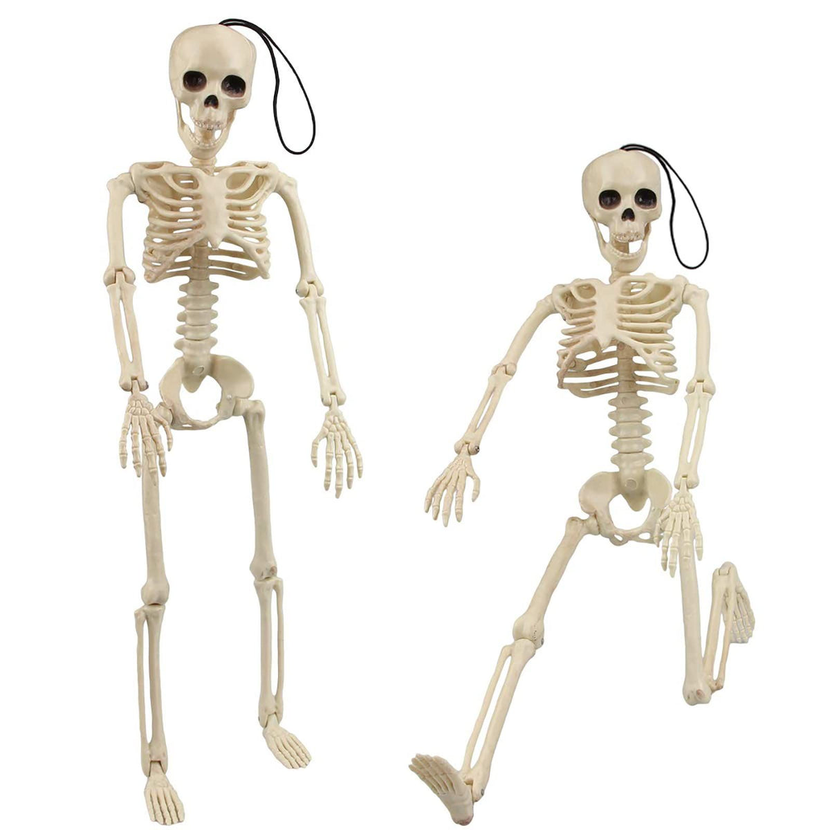 Two 16-inch Halloween skeletons with movable joints, realistic spooky design, perfect for haunted house decorations.