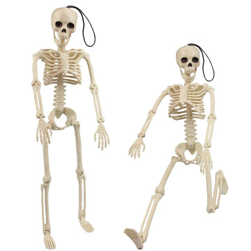 Two 16-inch Halloween skeletons with movable joints, realistic spooky design, perfect for haunted house decorations.