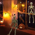 Two 16-inch Halloween skeletons with movable joints, realistic full-body design, perfect for haunted house decoration.