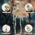 Two 16-inch realistic Halloween skeletons with movable joints, perfect for haunted house decorations and spooky displays.