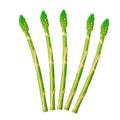 Set of 5 lifelike artificial asparagus vegetable toys for kids, realistic faux green asparagus models for pretend play and home decor.