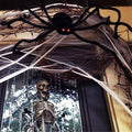 Giant hairy Halloween spider decoration by Everything Baby, outdoor plush spider for home yard and garden Halloween decor.