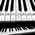 Transparent removable piano keyboard stickers for kids, designed to help children learn piano; suitable for educational musical toys.