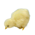 Set of 4 realistic plush baby chick figurines from Everything Baby, soft furry animal toys ideal for pretend play and Easter decoration.