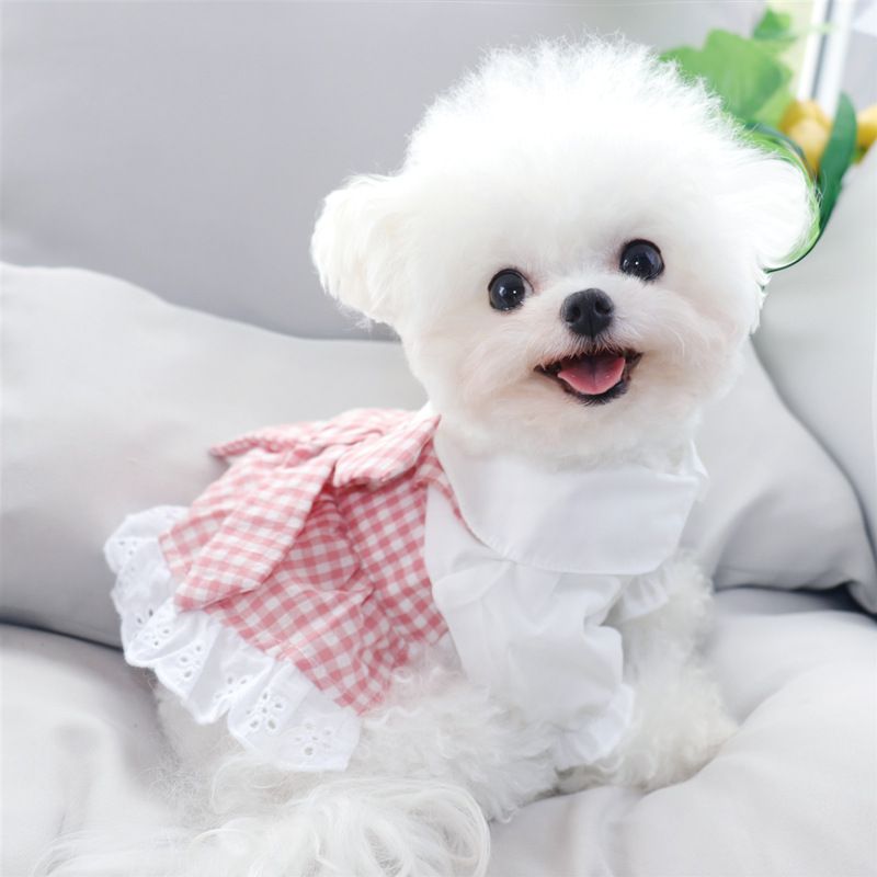 Cute plaid puppy and kitten princess dress with lace trim, bowknot, and skirt for small dogs and cats, size S.