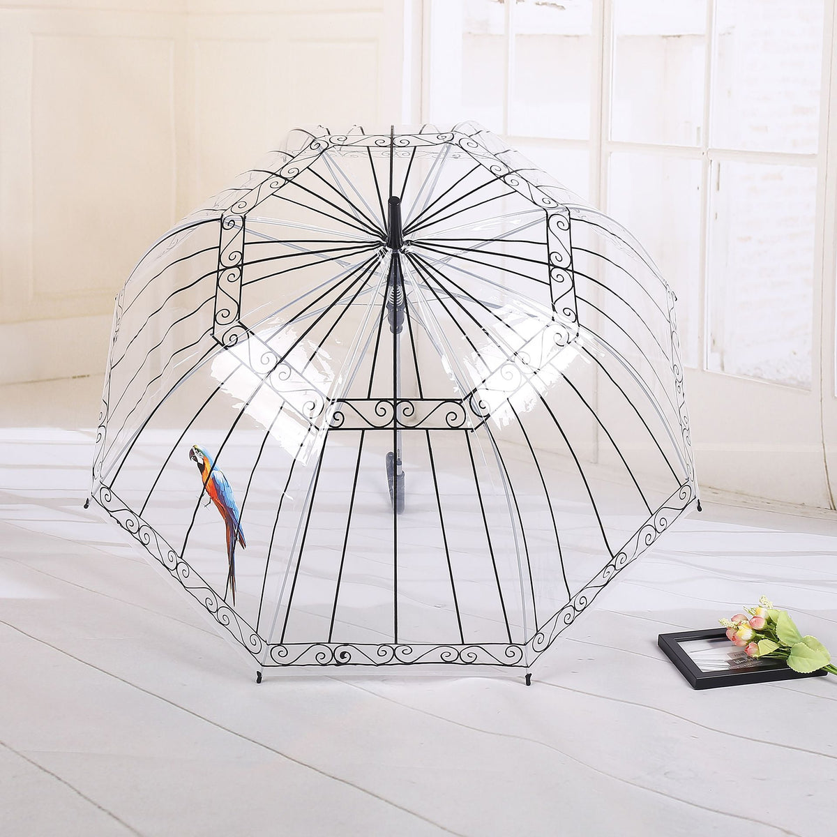 Transparent bubble umbrella for girls and women, dome-shaped, auto open clear rain umbrella for kids, by Everything Baby.