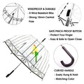Clear bubble umbrella for girls and women, transparent dome shape, auto open rain umbrella, suitable for kids and adults.