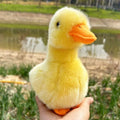 Two yellow plush chick and duck stuffed animals, 17cm, soft toys for kids, perfect for pretend play and cuddling