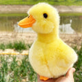 Two plush yellow chick and duck stuffed animals, 17cm, soft toys for kids, designed for pretend play, by Everything Baby.