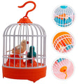 Two electronic toy birds for kids, featuring voice activation and chirping sounds, part of pretend play birdcage set.