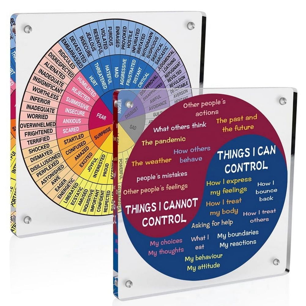 Colorful acrylic feelings and needs wheel for emotional awareness, suitable for home, office, or school mental health activities.