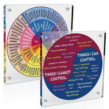 Colorful acrylic feelings and needs wheel for emotional awareness, suitable for home, office, or school mental health activities.