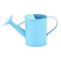 Durable 600ml Iron watering can with long spout from Everything Baby, suitable for indoor and outdoor play activities for kids.