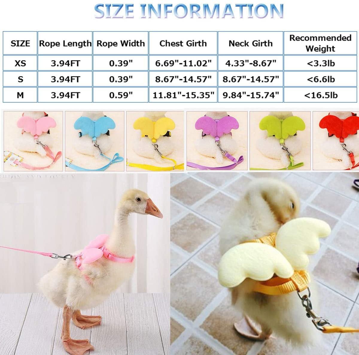 Pet duck harness for outdoor walking, adjustable traction rope for rabbits, ferrets, guinea pigs, hamsters, puppies, and kittens.