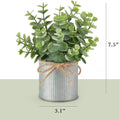 Two packs of small faux eucalyptus plants in farmhouse galvanized metal pots, ideal for pretend play and table centerpieces.