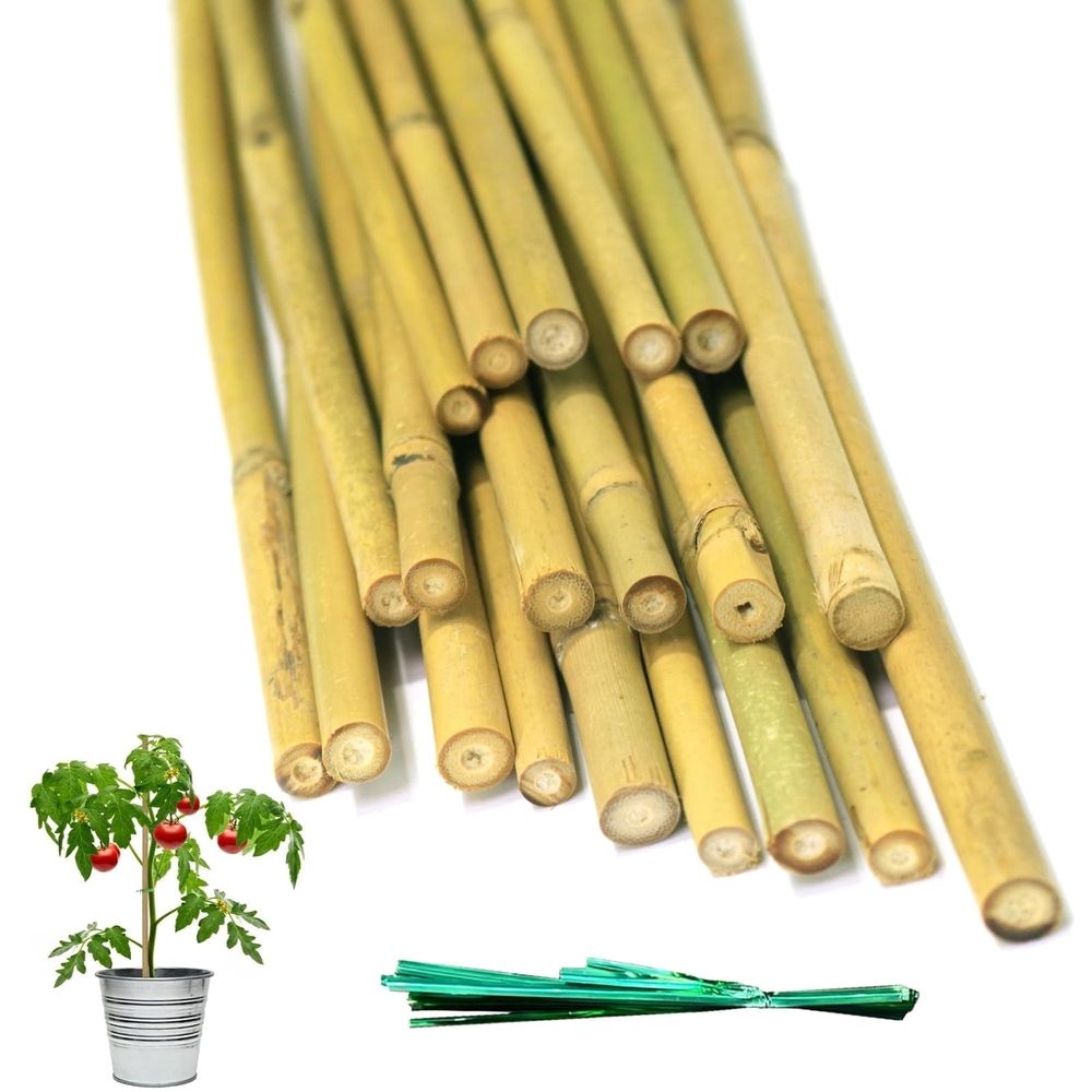 20-pack natural bamboo garden stakes with twist ties for supporting tomatoes, cucumber, grapes, and climbing plants in outdoor gardens.