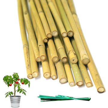 20-pack natural bamboo garden stakes with twist ties for supporting tomatoes, cucumber, grapes, and climbing plants in outdoor gardens.
