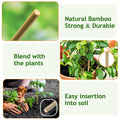 20-pack natural bamboo garden stakes with twist ties for supporting tomatoes, cucumbers, grapes, and climbing plants outdoors.